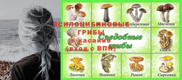 PSILOCYBIN Белокуриха